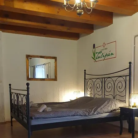 Bed & Breakfast Lesence Major