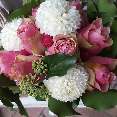 Lesence Major فندق مبيت وإفطار Lesencetomaj